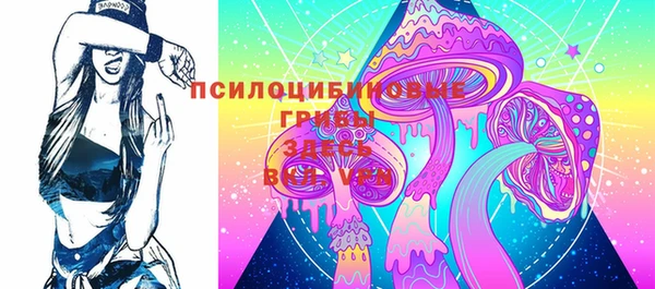 стафф Богородицк